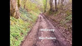 Holle weg polonaise liedje song door Ben Pachen  Englisch translation [upl. by Edmead]