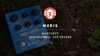 Meris Mercury7  Guitar Pedal  Vintage King [upl. by Tareyn]