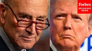 Theyll March In Line With Him Chuck Schumer Decries GOPs Obsequiousness Towards Trump [upl. by Lavella]