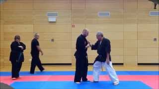 NaihanchiTekki Bunkai Impressions part III [upl. by Ahseikan]