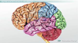 Types of Heuristics Availability Representativeness amp Base [upl. by Casie]