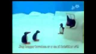 Pingu Verarsche SchweizerDeutsch [upl. by Aiksas]