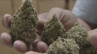 New poll shows Texans support legal marijuana [upl. by Fein]