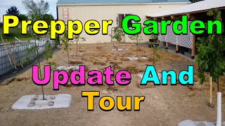 No 309 – Prepper Garden Update And Tour [upl. by Hedgcock]