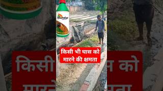 ख़तरनाक herbicide सावधानी से करें उपयोग [upl. by Spada]