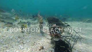 Boynton Beach Inlet Underwater Camera Featuring A Sea Turtle And More [upl. by Neitsirhc]