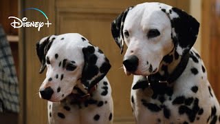 The Puppies get their Collars – 101 Dalmatians HD Movie Clip [upl. by Gunnar885]