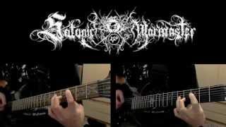 Satanic Warmaster  Raging Winter Guitar Cover [upl. by Neerak]