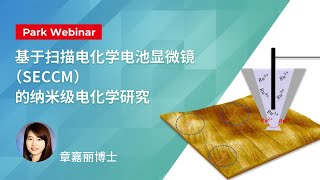 基于扫描电化学电池显微镜（SECCM）的纳米级电化学研究  Park Systems Webinar [upl. by Lorna]