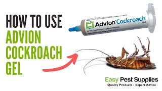 How to Use Advion Cockroach Gel [upl. by Pickard]