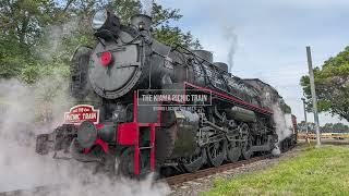 CabView Kiama Picnic Train  Chullora to Kiama 4K STEAM TRAIN  REALTIME [upl. by Eilhsa726]