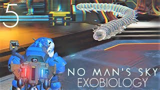 No Mans Sky Exobiology  5 PC [upl. by Barthol]