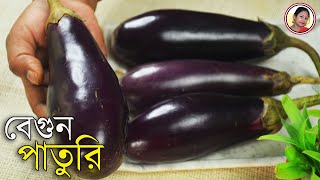 বেগুন দিয়ে এইভাবে পাতুরি রান্না করে দেখুন  Begun Paturi Recipe In Bengali  Shampas Kitchen [upl. by Orfurd]