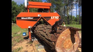 Milling a giant pine log in realtime on the Wood Mizer LT10 [upl. by Creight]