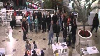 Carol of The Bells Flash Mob [upl. by Rovit]