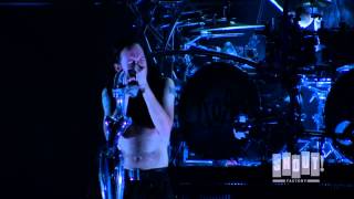 Korn Live At The Hollywood Palladium  quotPredictablequot [upl. by Mahau]