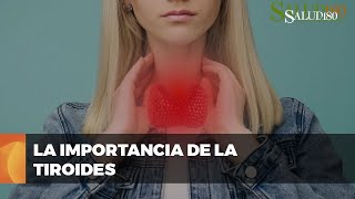 ✅ Entendiendo la función y los desórdenes de la GLÁNDULA TIROIDES  Salud180 🌿 [upl. by Cirad]