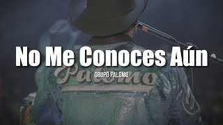 Palomo  No Me Conoces Aún LETRA [upl. by Nnaeitak]