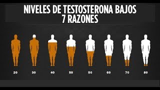 7 razones por las que tu testosterona puede estar baja [upl. by Alyar]