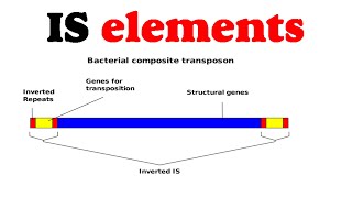 IS elements [upl. by Osana]