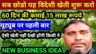 सब छोड़ो यह विदेशी खेती शुरू करो ऐसी खेती नहीं देखी होगीMost Profitable Farming Business Ideas [upl. by Amlas]