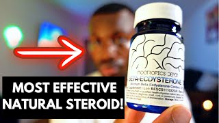 ECDYSTERONE REVIEW  Most Anabolic Natural Supplement [upl. by Noslrac]