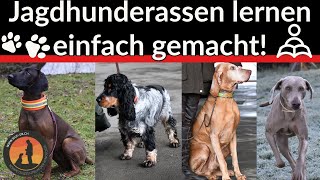 Jagdhunderassen lernen einfach gemacht  Hundeschule UB [upl. by Neitsirhc]