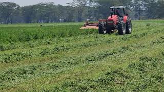 Mowing Lucerne with the Kuhn FC4000RG conditioner miwer [upl. by Anitrebla]