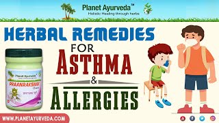 Herbal Remedies for Asthma and Allergies  Ayurvedic Treatment [upl. by Hamforrd763]