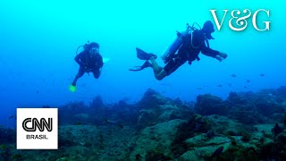 Mergulho em Noronha uma experiência inesquecível  CNN Viagem amp Gastronomia [upl. by Gronseth564]