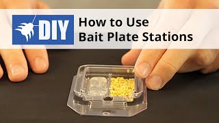 How to Use Bait Plate Stations for Ant amp Roach Control [upl. by Mortensen]