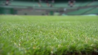 Wimbledon grass prepped for tennis season [upl. by Yerrot241]