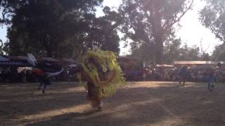 Stanford powwow Eucalyptus Grove Palo AltoStanford CA [upl. by Anaahs]