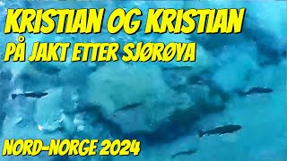 Kristian Og Kristian På Jakt Etter Sjørøya  NordNorge 2024 [upl. by Helsie113]