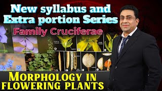 New syllabus and Extra portion Series I Family Cruciferae I Morphology in flowering plants [upl. by Sabino]