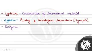 Which stage of meiosis is characterised by the appearance of recombination nodules 1 Leptoten [upl. by Bartley]