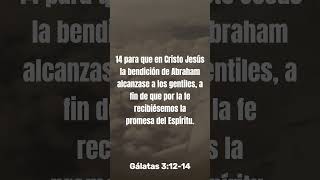 palabras de amor biblicas diarias 22 shorts musica viraleshorts [upl. by Linehan]