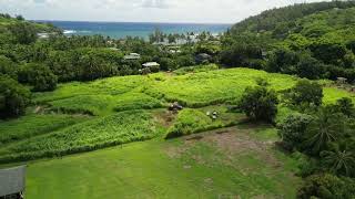 Reasonably priced vacant land in Moloaa Kauai [upl. by Nyrrek]