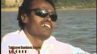 Oromo Music Tsegaye Dandana  Boolee [upl. by Rapp]