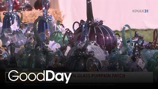 Handblown Glass Pumpkin Patch [upl. by Elijah]