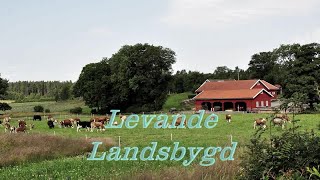 Levande landsbygd Dokumentär om modern lantgård 2024  LTVUSE [upl. by Leirrad]