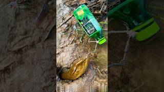 Survival Skills SIMPLE and USEFUL with bottle eel trap bushcraft camping outdoors survival [upl. by Atis]