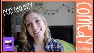 Dog Anxiety  Comedic Monologue [upl. by Hanus]