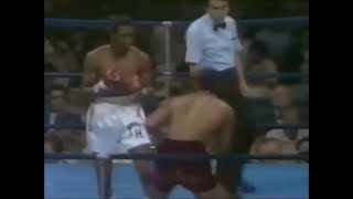 Tommy Hearns Vs Pablo Baez Highlights Hearns Powerful [upl. by Chaiken540]