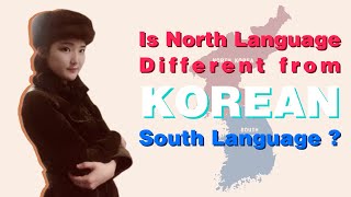 Is North Korean language different from South Korean Kdrama quotcrash landing on youquot [upl. by Baten]