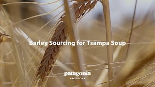 Barley Sourcing for Tsampa Soup  Patagonia Provisions [upl. by Maressa273]