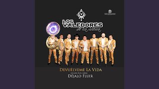 Los Valedores De La Sierra  Devuélveme La Vida  Letra HD Estreno 2015 [upl. by Aiouqes933]