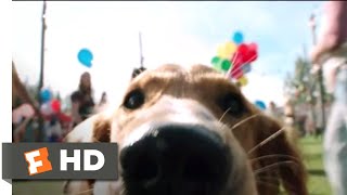 A Dogs Purpose 2017  Doggie Matchmaker Scene 310  Movieclips [upl. by Ahseile]