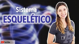 Sistema Esquelético 15 Introdução  Anatomia e etc [upl. by Madonia658]