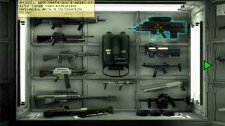 The Punisher Weapon Discriptions [upl. by Lovich276]